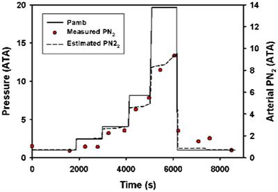 A Baseline Model For Estimating the Risk of Gas Embolism in Sea Turtles During Routine Dives